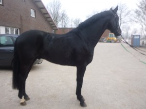 San Amour - Dolina